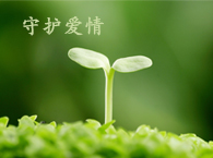 �������\�f�h�Ƿ���Ч