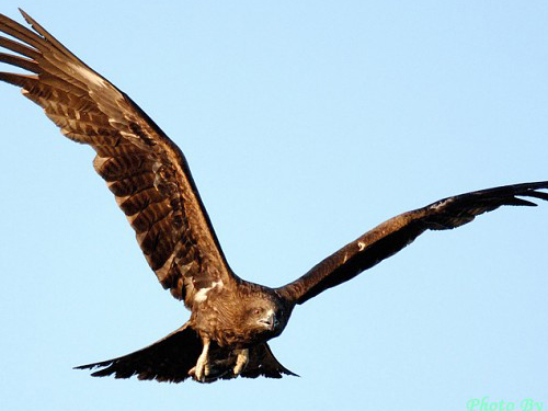 �F·�����_չ&ldquo;�C����2016&rdquo;���� ���������Ʊ�`������