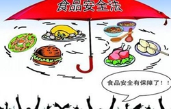 ʳƷ��ȫ��(bi��o)��(zh��n)�����|(zh��)��ʲô��˼��