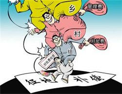 �����a(b��)���m�����V��Ҫ��Щ����