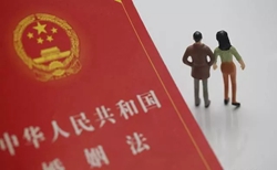 ��͢�f�����x���Űl�F��܉���Ƿ��Ո���܉��֧�������r����