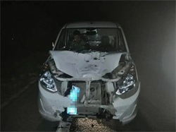 ��͢�f�����{�T�{܇��x��ͨ�¹ʬF��������Д��{�T�Ƿ���֪�l���˽�ͨ�¹ʣ�