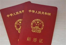 ��͢�f�����x�鷨�ɳ��R36��36��